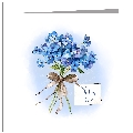 Thinking Of You - Forget Me Nots Bouquet