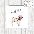 Pug Dog In Pink Bow-tie & Baseball Cap