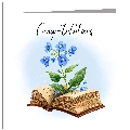 Congratulations - Bible With Forget Me Nots - wholesale