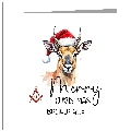 Christmas - Antelope In Santa Hat